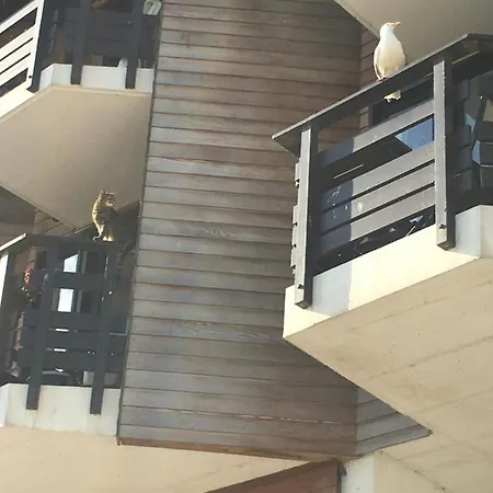 Daire Mon Balcon Face A La - Les Marinas