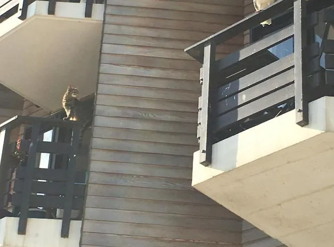 Apartament Mon Balcon Face A La - Les Marinas